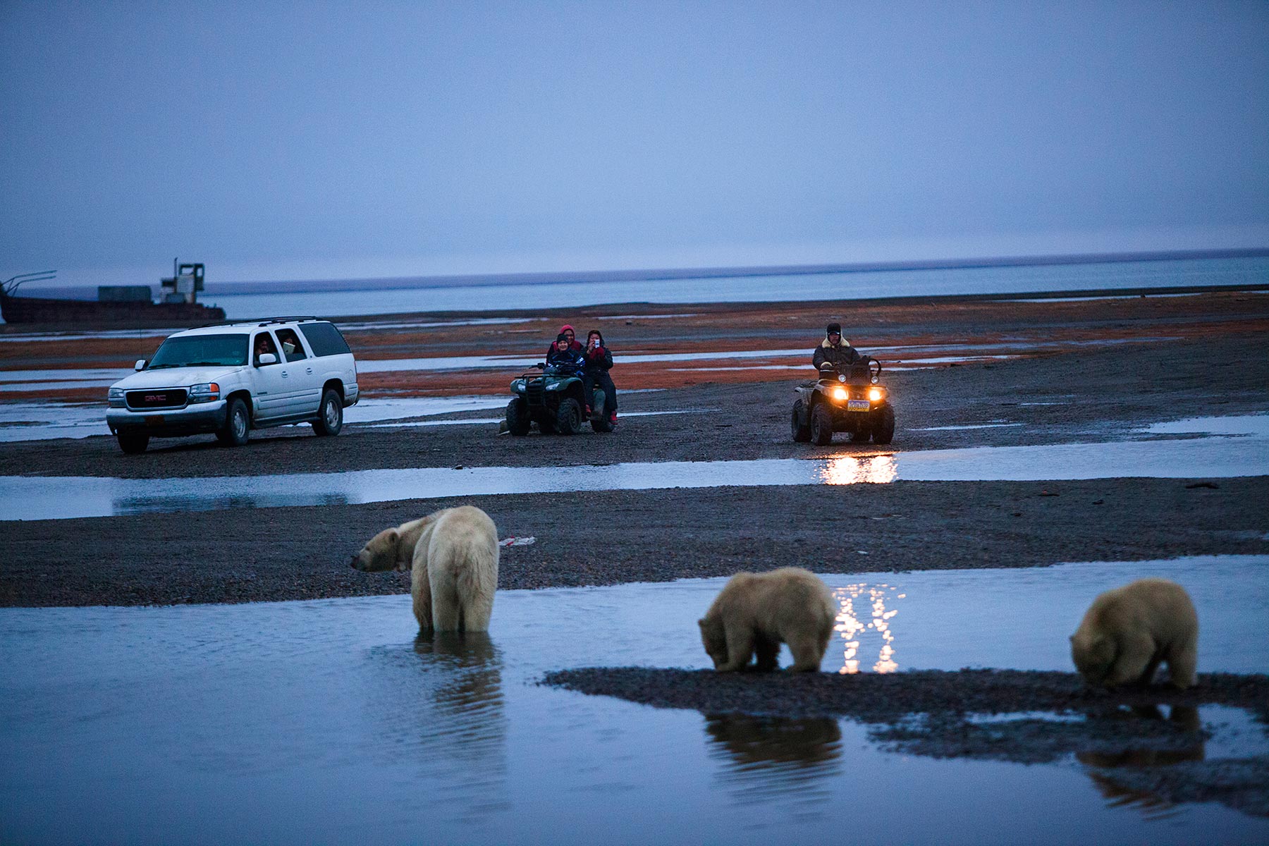 Bear Town USA Al Jazeera America